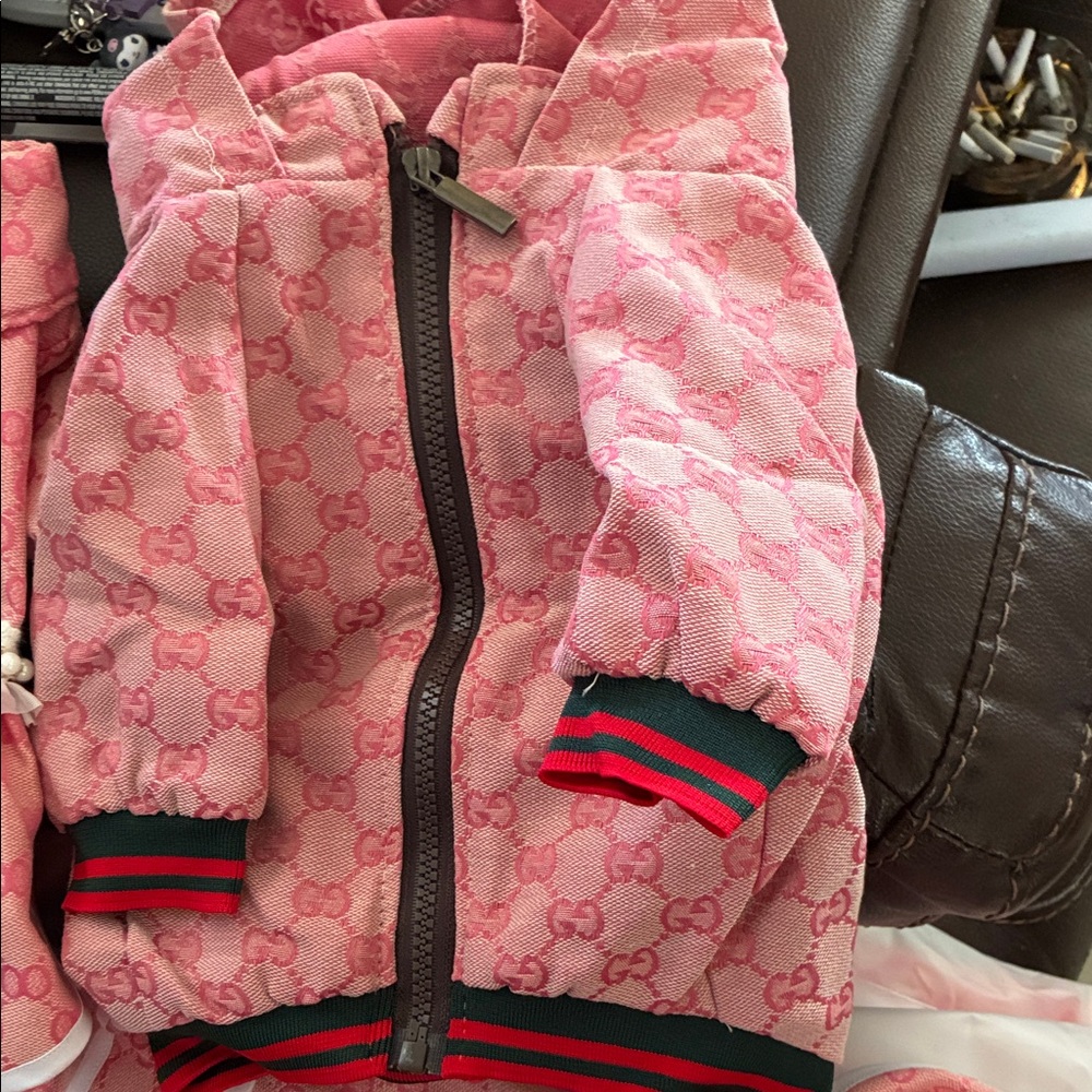 Gucci Pink Patterned Pet Hoodie